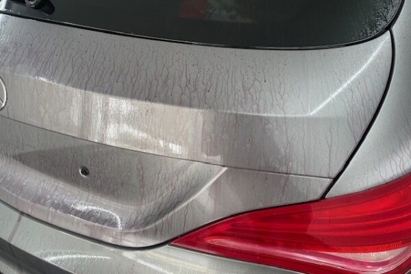 Mobile Clean - vliegroest